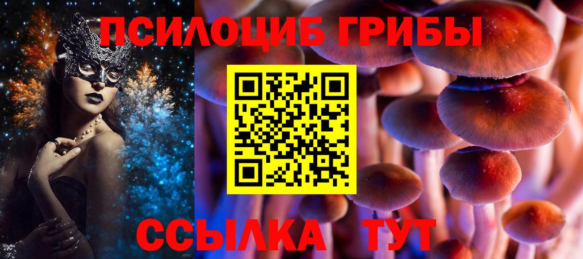 Псилоцибиновые грибы MAGIC MUSHROOMS  Галлюциногенные грибы Psilocybine cubensis  Сланцы  Вход с VPN 
